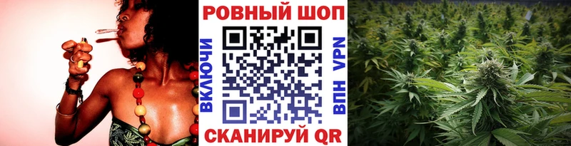 Галлюциногенные грибы Вилюйск