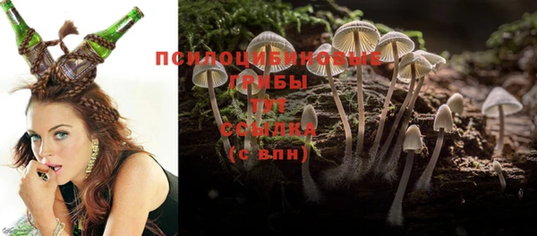 apvp Белоозёрский