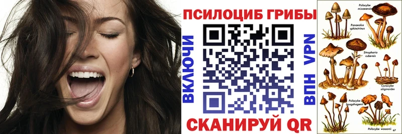 где найти наркотики  Вилюйск  Галлюциногенные грибы GOLDEN TEACHER 